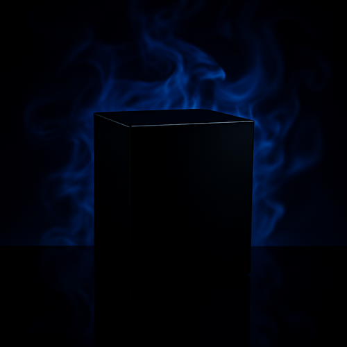 Black Box 15